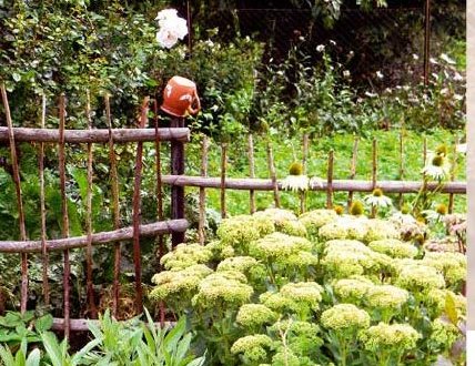 Do celoevropské akce se zapojí certifikované přírodní zahrady v Kraji Vysočina