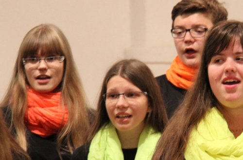 Gymnazistka uspěla v soutěži Talent Vysočiny