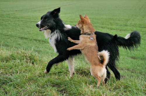 Agility VM nabízí zájemcům nové semináře