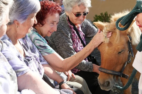 Poníci přijeli potěšit seniory