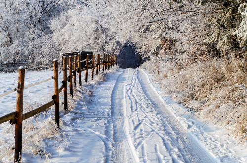 Dům s  pečovatelskou službou má čtenářský klub: Únor v kalendáři
