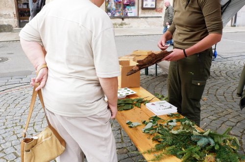 Den pro zdraví se uskuteční  6. září