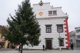  Před radnicí už stojí vánoční strom. Rozzáří se v neděli 1. prosince