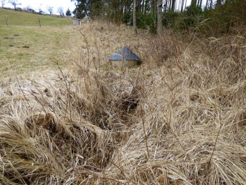 Studánka Pod Pastouškou se díky hlasům lidí dočká obnovy