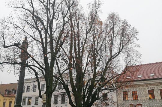 Technické služby se připravují na zimu