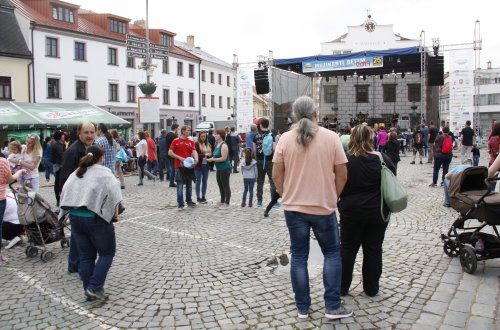 Charitativní koncert bude!