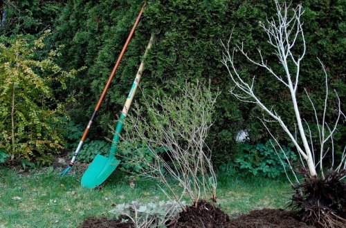 Most Vysočiny podpoří revitalizaci veřejných prostranství