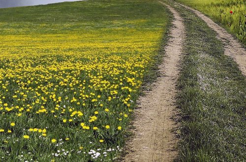 Návrhy na změnu územního plánu podávejte do 30. června