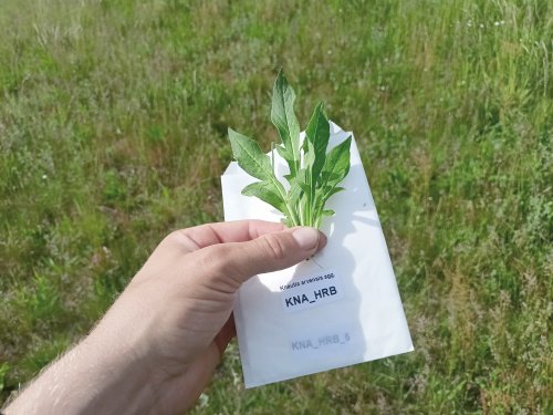 Květnaté meziříčské louky slouží vědě