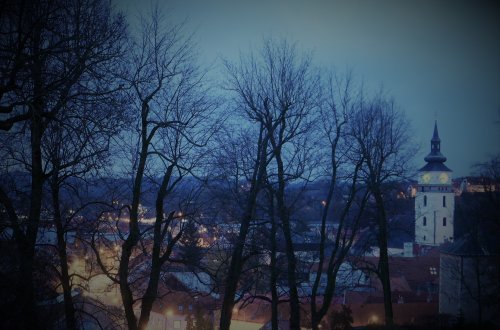 O městě, veřejném životě a politice