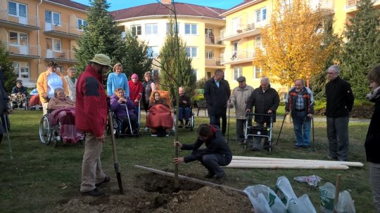 Obyvatelé Domova pro seniory vysadili lípu k výročí vzniku republiky