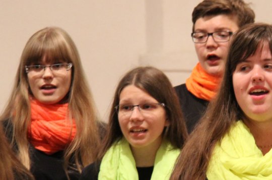 Gymnazistka uspěla v soutěži Talent Vysočiny