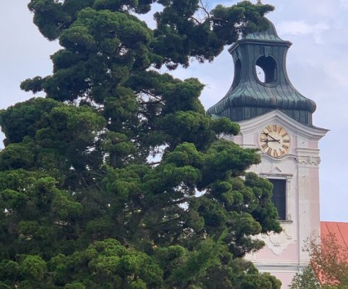 Harmonia Laudes zahrají v Tasově