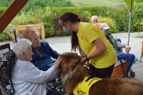 Když „psí doktoři“ léčí