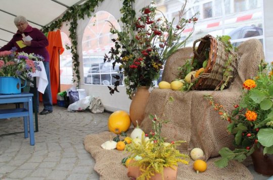 Zářijové Dny zdraví nabídnou program pro děti i místní produkty