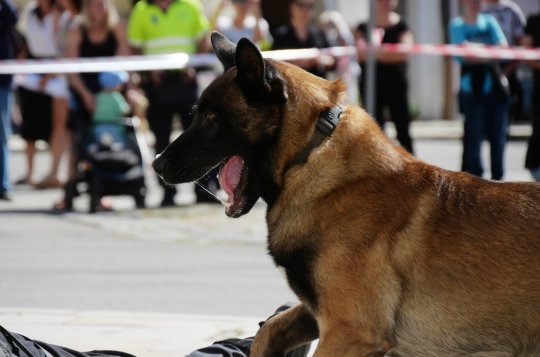 Záchranáři přilákali malé i velké