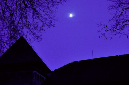 Muzeum opět ožije nočními prohlídkami