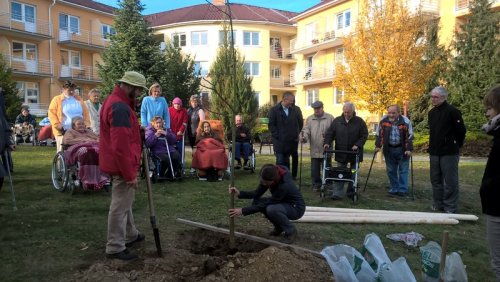 Obyvatelé Domova pro seniory vysadili lípu k výročí vzniku republiky