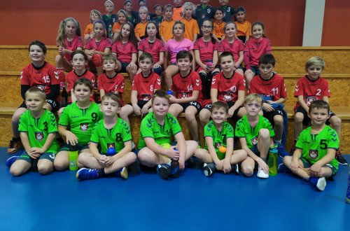 Nejmenší házenkáři si zahráli Ligu Vysočiny v Dolní Cerekvi