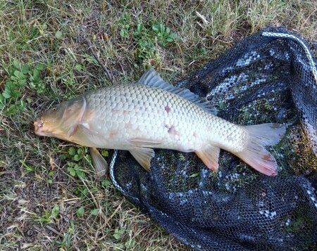 Rybářskou soutěž ovládly Jaroměřice