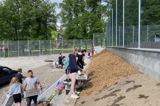 Zahradnická brigáda tenistů na kurtech