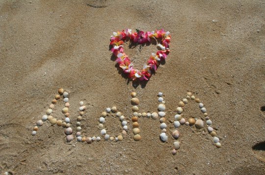 Dóza spustila registraci na letní tábor