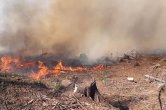 Přibývají lesní požáry. Na Vysočině se do odvolání zakazuje pálení klestí a vypalování trávy