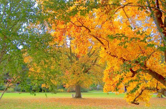 Centrum Kociánka nabízí podzimní pobyt