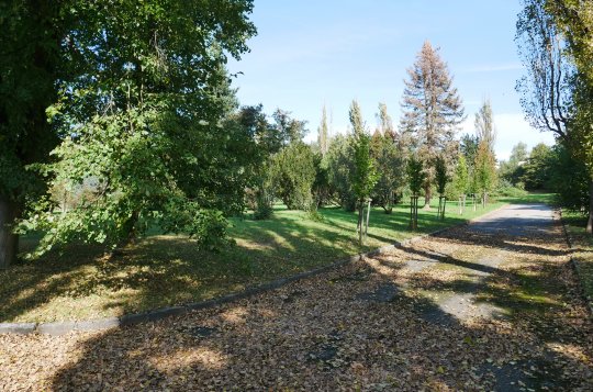 U hřbitova na Karlově bude nový plot