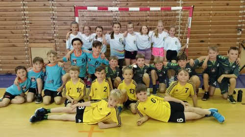 Naši nejmenší házenkáři odehráli další kolo ligy Vysočiny.