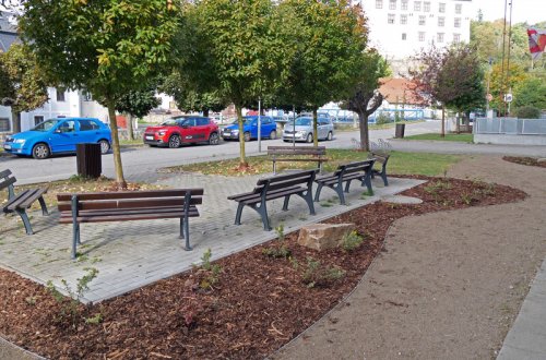 Parčík před zuškou pokvete žlutě a bíle