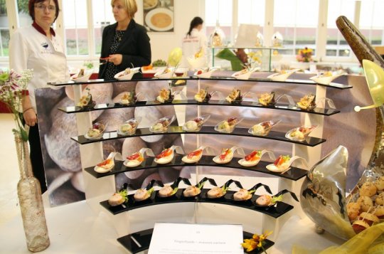 Světlá dnes otevírá dveře veřejnosti. Je gastroden