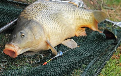 Pořadatelé závodů na Zvonďáku děkují svým sponzorům