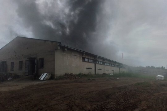 V Jívoví hořela hala s prasaty