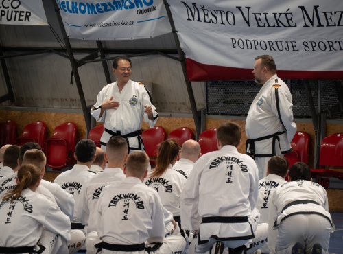 Příznivci umění Taekwon-do se sešli na Sportovní ulici