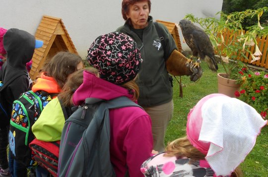 Žáci ze Lhotek zvítězili v celorepublikové soutěži Divočina blízko nás