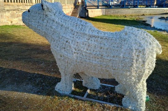 Vandalové poškodili ledního medvěda