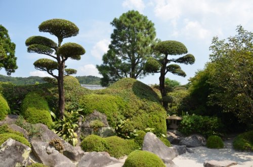 Genealogové se bavili o Japonsku