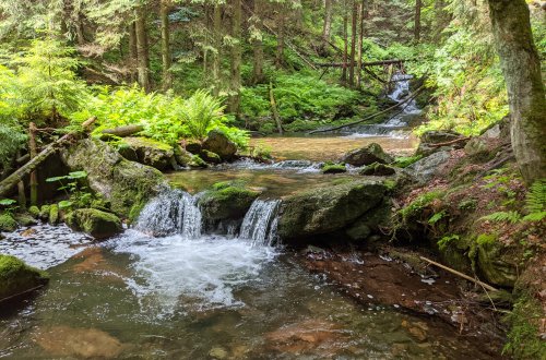 Den vody si prožijeme i užijeme
