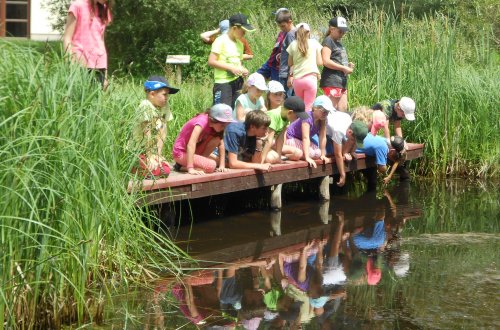 Voda - pramen života 2019