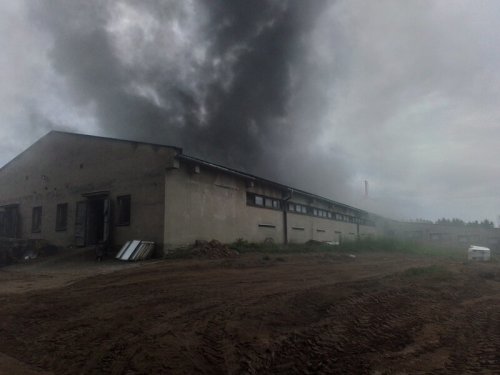 V Jívoví hořela hala s prasaty