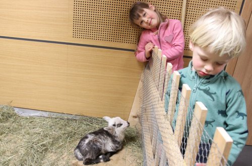 Velikonoční výstava potěšila oči, srdce i hlavu