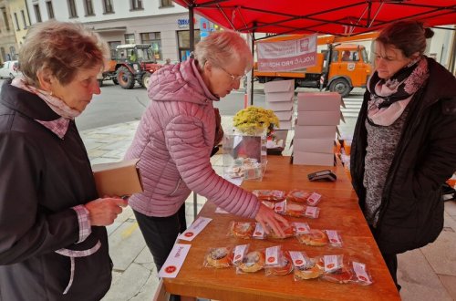 Sbírka vynesla skoro půl milionu