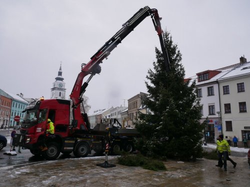 Strom už stojí