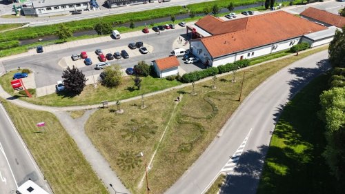 Květnatých luk ve městě přibývá