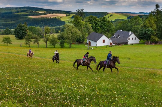 Vysočina je třetím nejoblíbenějším krajem
