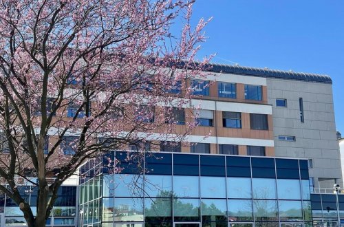 Omezení provozu gynekologicko-porodnického oddělení