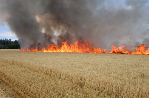 V posledních dnech výrazně přibývá požárů na polích