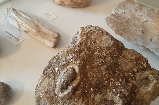 Seriál ze zámku: Přírodovědné sbírky