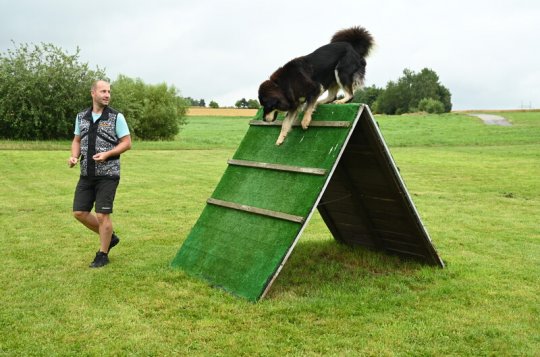 Zastupitelé rozdělí peníze ze Zdravého města